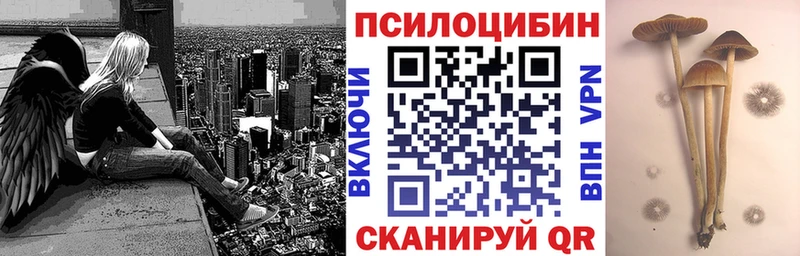 где продают наркотики  Севастополь  Псилоцибиновые грибы прущие грибы 